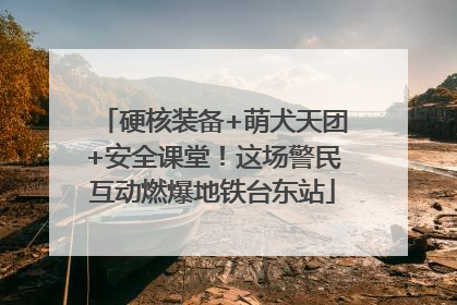 硬核装备+萌犬天团+安全课堂！这场警民互动燃爆地铁台东站