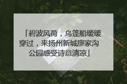 碧波风荷，乌篷船缓缓穿过，来扬州新城廖家沟公园感受诗意清凉