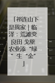 祁连山下是我家｜临泽：荒滩变良田 戈壁农业添“绿”生“金”