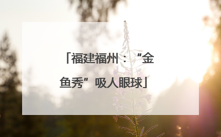 福建福州：“金鱼秀”吸人眼球