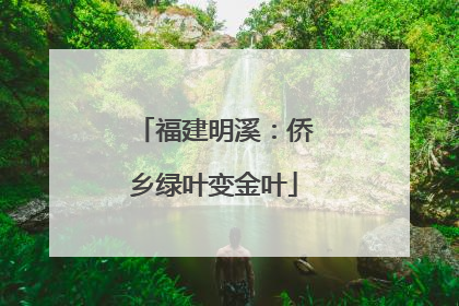 福建明溪：侨乡绿叶变金叶