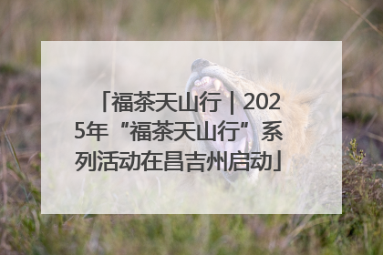 福茶天山行｜2025年“福茶天山行”系列活动在昌吉州启动