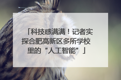 科技感满满！记者实探合肥高新区多所学校里的“人工智能”