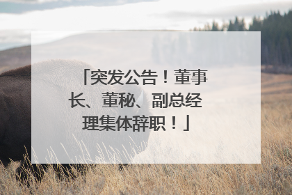 突发公告！董事长、董秘、副总经理集体辞职！