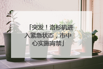 突发！洛杉矶进入紧急状态，市中心实施宵禁