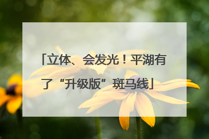 立体、会发光！平湖有了“升级版”斑马线