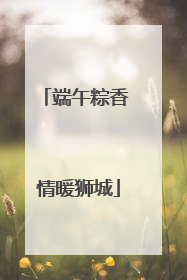 端午粽香 情暖狮城