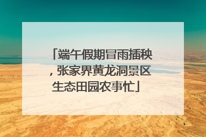 端午假期冒雨插秧，张家界黄龙洞景区生态田园农事忙