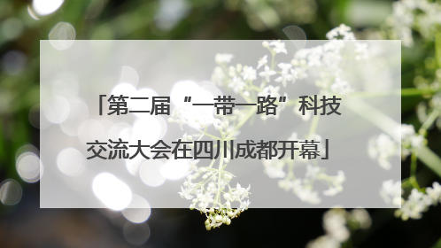 第二届“一带一路”科技交流大会在四川成都开幕