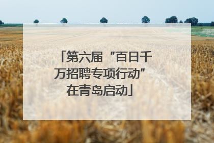 第六届“百日千万招聘专项行动”在青岛启动