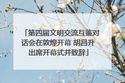 第四届文明交流互鉴对话会在敦煌开幕 胡昌升出席开幕式并致辞