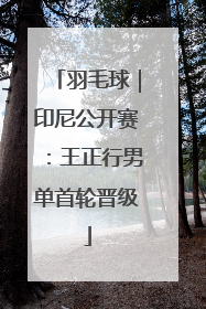羽毛球｜印尼公开赛：王正行男单首轮晋级