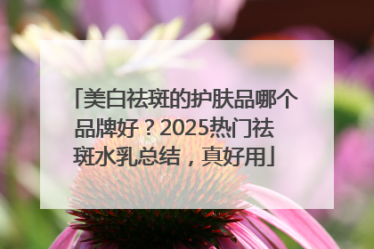美白祛斑的护肤品哪个品牌好？2025热门祛斑水乳总结，真好用
