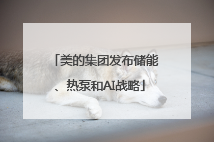 美的集团发布储能、热泵和AI战略
