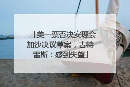 美一票否决安理会加沙决议草案，古特雷斯：感到失望