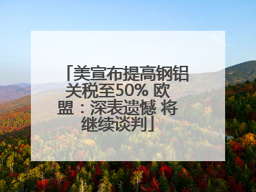 美宣布提高钢铝关税至50% 欧盟：深表遗憾 将继续谈判