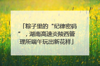 粽子里的“纪律密码”，湖南高速炎陵西管理所端午玩出新花样