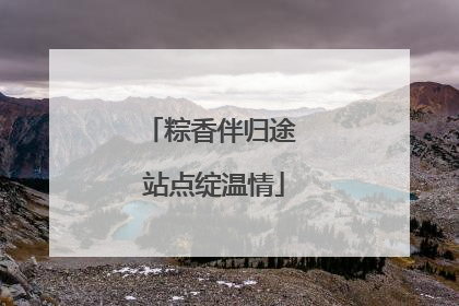 粽香伴归途 站点绽温情