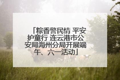 粽香警民情 平安护童行 连云港市公安局海州分局开展端午、六一活动