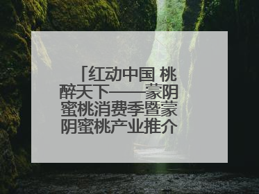 红动中国 桃醉天下——蒙阴蜜桃消费季暨蒙阴蜜桃产业推介会成功举办