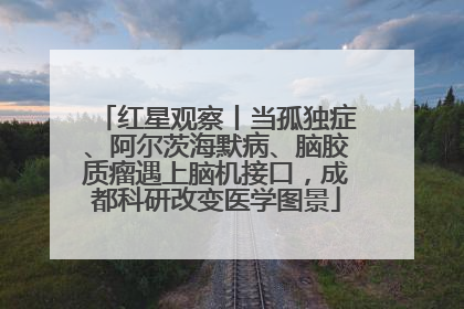 红星观察丨当孤独症、阿尔茨海默病、脑胶质瘤遇上脑机接口，成都科研改变医学图景