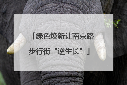 绿色焕新让南京路步行街“逆生长”