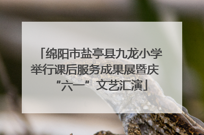 绵阳市盐亭县九龙小学举行课后服务成果展暨庆“六一”文艺汇演