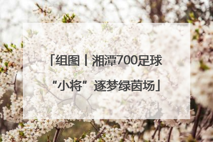 组图丨湘潭700足球“小将”逐梦绿茵场