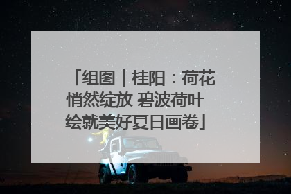 组图｜桂阳：荷花悄然绽放 碧波荷叶绘就美好夏日画卷