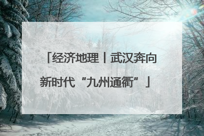 经济地理丨武汉奔向新时代“九州通衢”