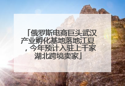俄罗斯电商巨头武汉产业孵化基地落地江夏，今年预计入驻上千家湖北跨境卖家