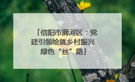信阳市浉河区：党建引领绘就乡村振兴绿色“丝”路