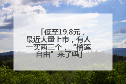 低至19.8元，最近大量上市，有人一买两三个，“榴莲自由”来了吗