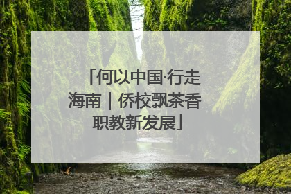 何以中国·行走海南｜侨校飘茶香 职教新发展