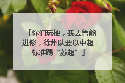 你们玩梗，我去鲁能进修，徐州队要以中超标准踢“苏超”