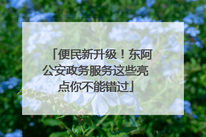 便民新升级！东阿公安政务服务这些亮点你不能错过