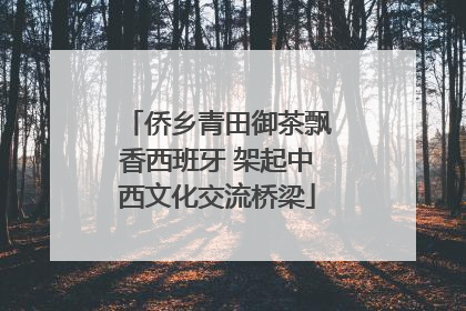 侨乡青田御茶飘香西班牙 架起中西文化交流桥梁