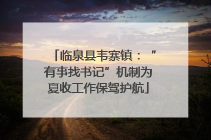 临泉县韦寨镇：“有事找书记”机制为夏收工作保驾护航