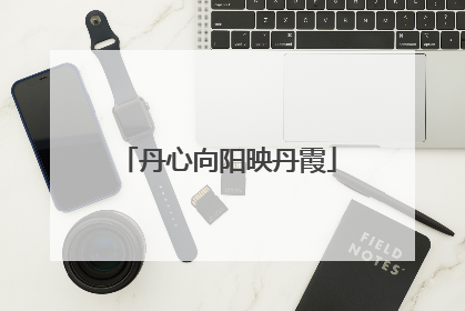 丹心向阳映丹霞