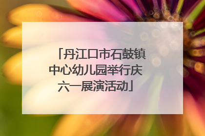 丹江口市石鼓镇中心幼儿园举行庆六一展演活动