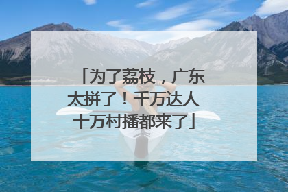 为了荔枝，广东太拼了！千万达人十万村播都来了