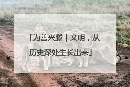 为善兴滕｜文明，从历史深处生长出来