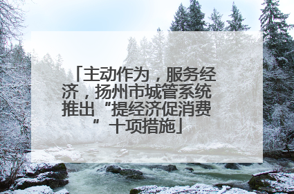 主动作为，服务经济，扬州市城管系统推出“提经济促消费”十项措施