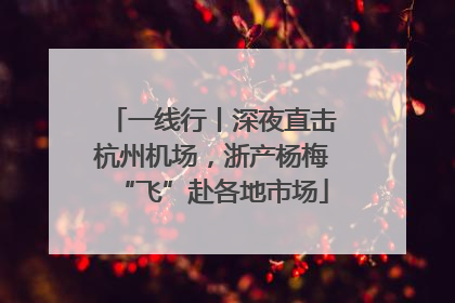 一线行丨深夜直击杭州机场，浙产杨梅“飞”赴各地市场