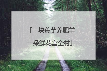 一块蕉芋养肥羊 一朵鲜花富全村