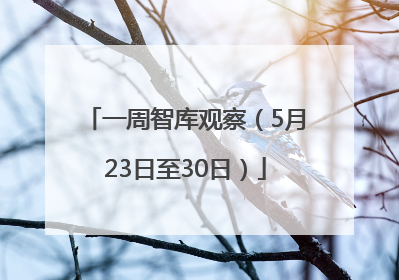 一周智库观察（5月23日至30日）