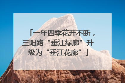 一年四季花开不断，三阳路“垂江绿廊”升级为“垂江花廊”