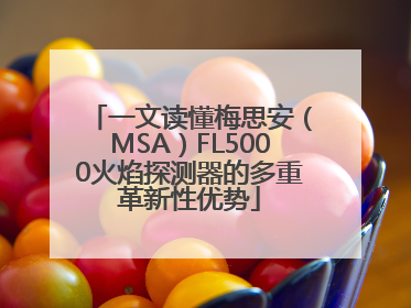 一文读懂梅思安（MSA）FL5000火焰探测器的多重革新性优势