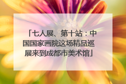七人展、第十站：中国国家画院这场精品巡展来到成都市美术馆