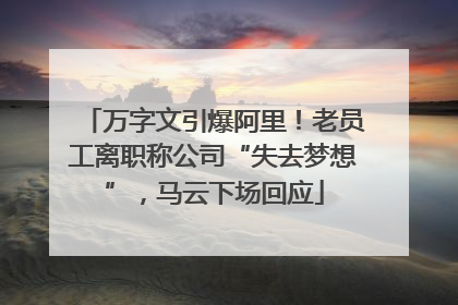 万字文引爆阿里！老员工离职称公司“失去梦想”，马云下场回应